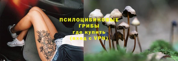 прущие грибы Аркадак