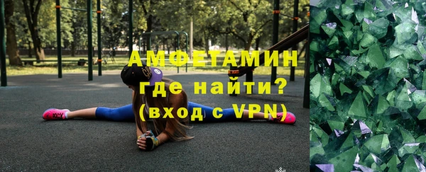 прущие грибы Аркадак