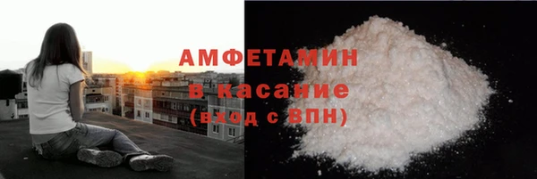 прущие грибы Аркадак