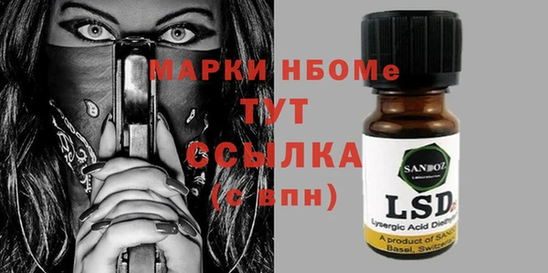 прущие грибы Аркадак