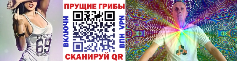 Псилоцибиновые грибы прущие грибы  Барыш 